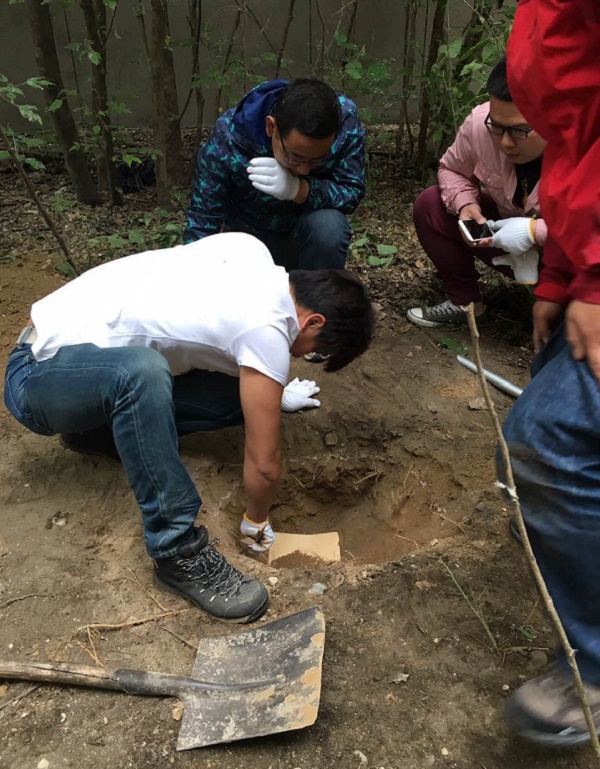 乐冠体育实现土壤修复领域业务新突破 履约工作高效推进